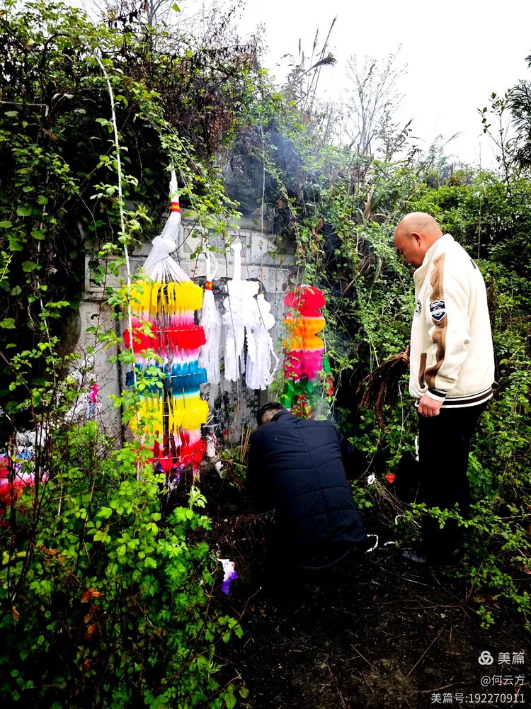 清明回乡上坟记